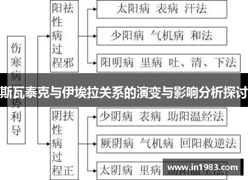 斯瓦泰克与伊埃拉关系的演变与影响分析探讨